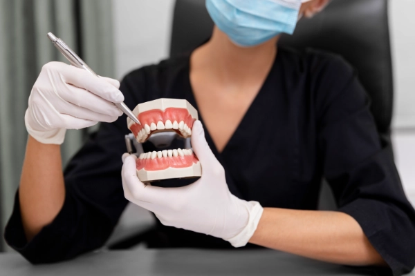 protesis dental protesis dental